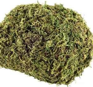 18 OZ Artificial Moss for Potted Plants & Fake Plants - Faux Decorative Moss for Planters & Craft