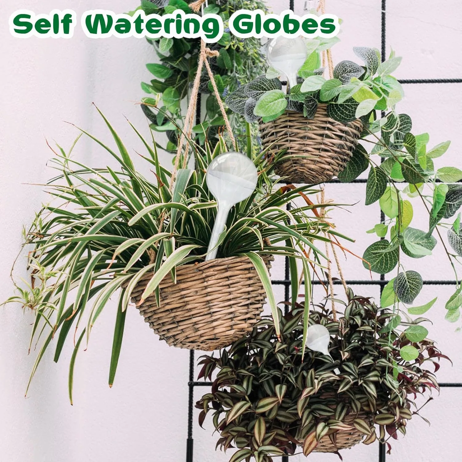 20 PCS Clear Plant Watering Globes,Plastic Self-Watering Bulbs,Self Watering Planter Insert Plant Accessories for Plants Indoor,Outdoor,Flowerpot,Home Garden(Large,Medium,Small)