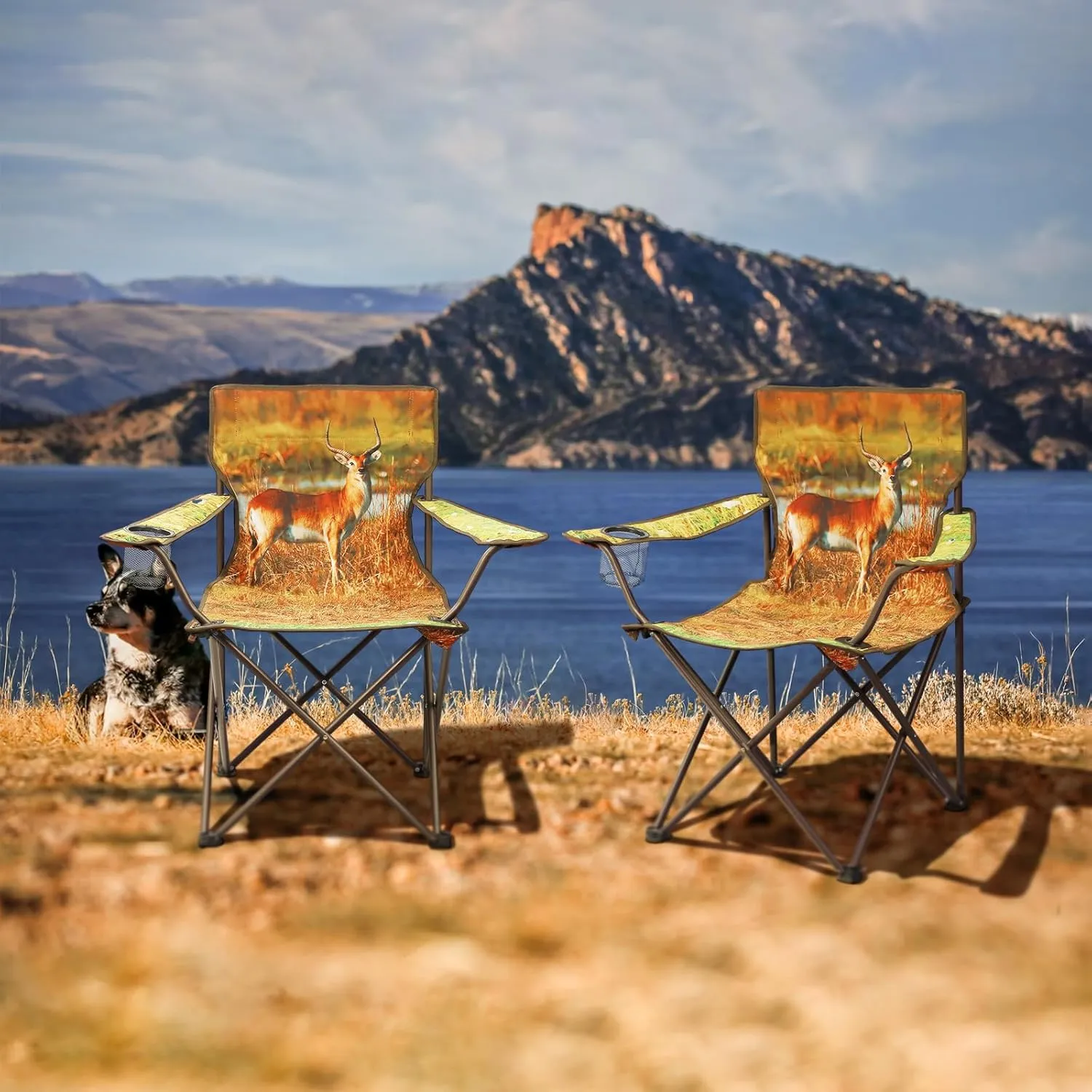 2Pack Folding Camping Chairs Portable Animal Print Collapsible Hunting Chair for Outdoor Travel, Patio, Beach, Fishing - Antelope