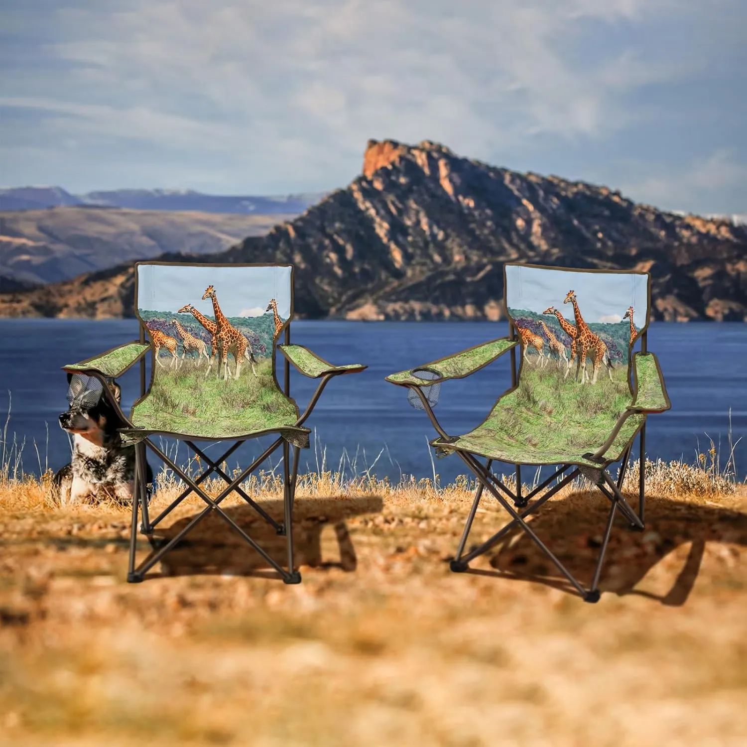2Pack Folding Camping Chairs Portable Animal Print Collapsible Hunting Chair for Outdoor Travel, Patio, Beach, Fishing - Giraffe