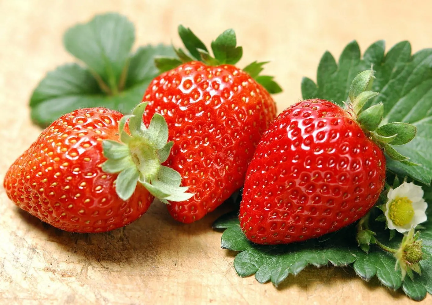 Albion Everbearing Strawberry 50 Bare Root Plants - New! Extra Large & Sweet