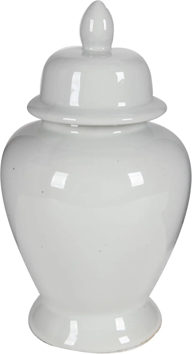 Benzara, White BM165656 Decorative Porcelain Ginger Jar with Lidded Top, Medium