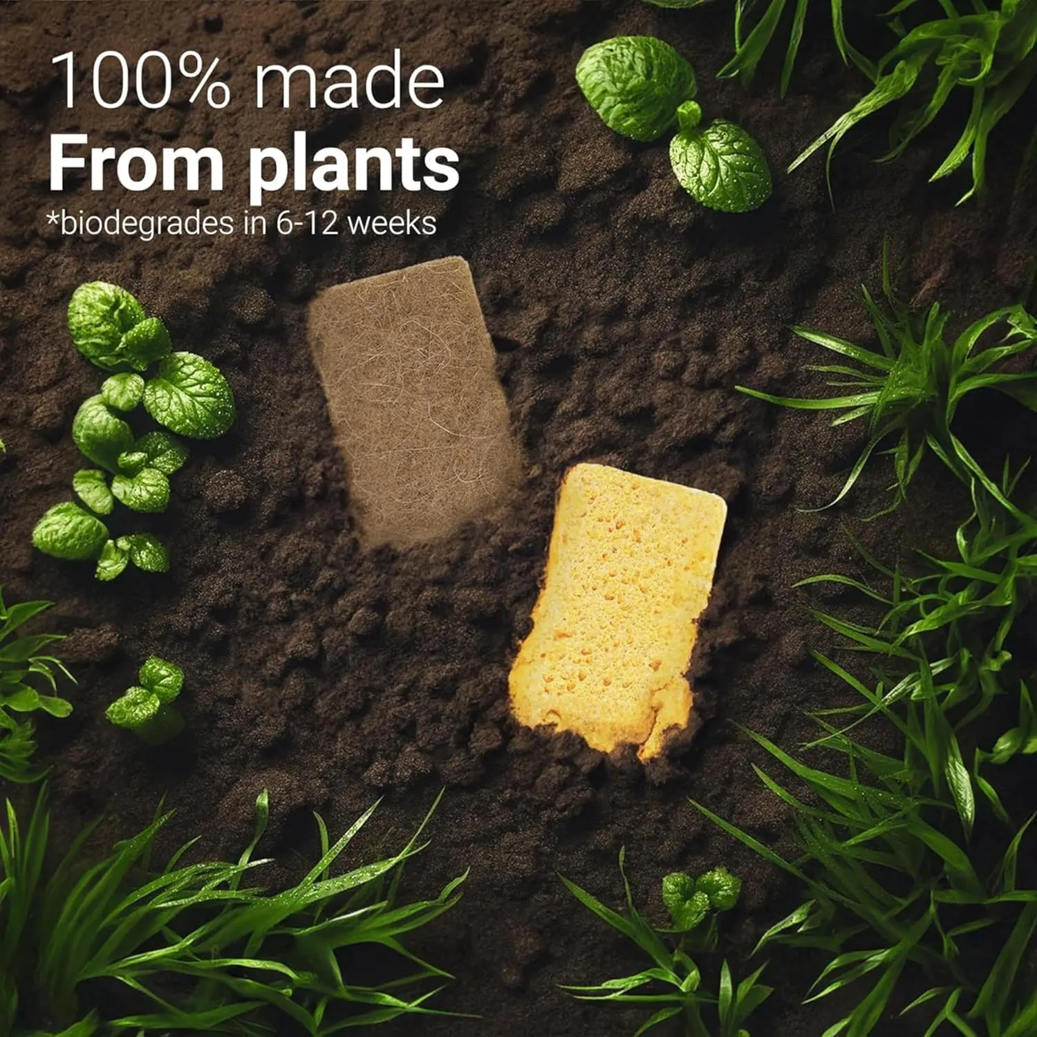 bioGo 12 Pack Biodegradable Kitchen Sponges - Eco-Friendly, Compostable, Natural Cellulose Dish - Compostable - Biodegradable - Cellulose Sponge