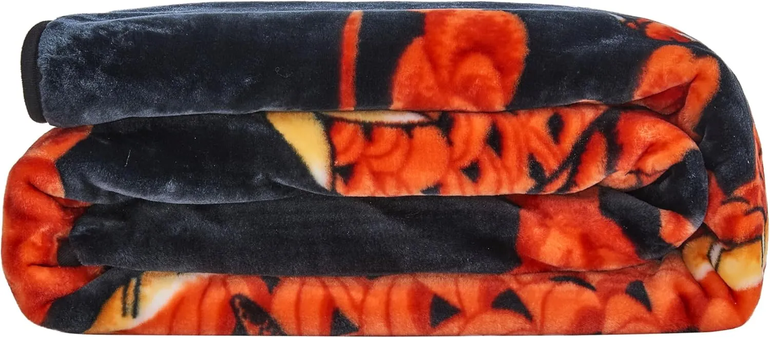 Chezmoi Collection Heavy Single Ply 9 Lbs Korean Style Faux Mink Blanket, Reversible 750GSM Thick Silky Soft Plush Raschel Mink Blanket, 85" x 95" King, Dragon