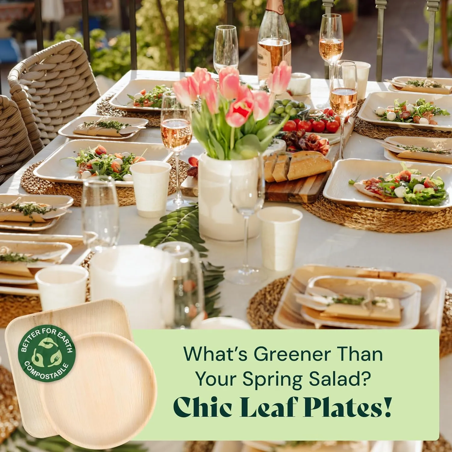 Chic Leaf Palm Leaf Disposable Bamboo Plates - Square Party Plates for Weddings, Parties, Event Appetizers - Biodegradable & Compostable - Party Supplies (10", 50 Pack)