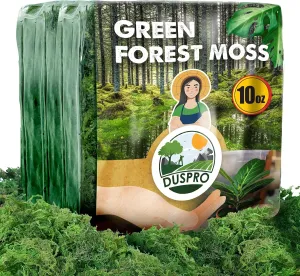 DUSPRO Green Moss for Crafts Decorative Moss Filler for Planters Moss Decor for Table Centerpieces Wedding Christmas Fairy Party Decor, Green Moss for Indoor Planters, DIY Project 10 Oz