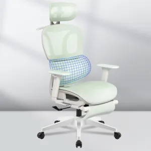 FLEXISPOT Big and Tall Mesh Office Chair, Computer Desk Chair Adjustable Swivel with Footrest Lumbar Support Headrest and 360°Rotation for Home Office, Green Mesh