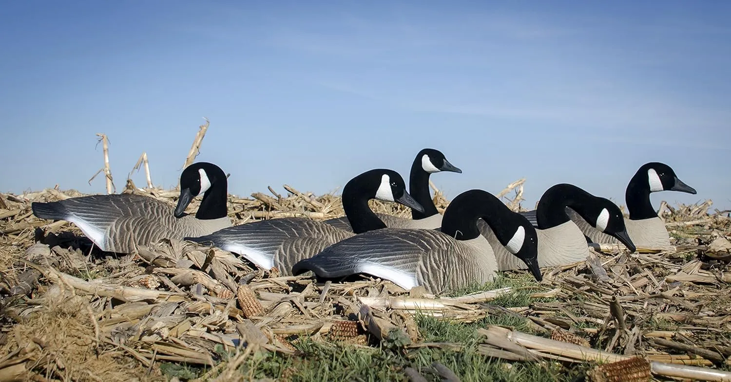 Higdon Outdoors Half Shell Goose Decoys for Waterfowl Hunting | Realistic & Stackable for Optimal Storage | Variety of Sizes and Species: Canada/Specklebelly/Blue/Snow/Sleeper/Full-Size/Magnum | 6pk