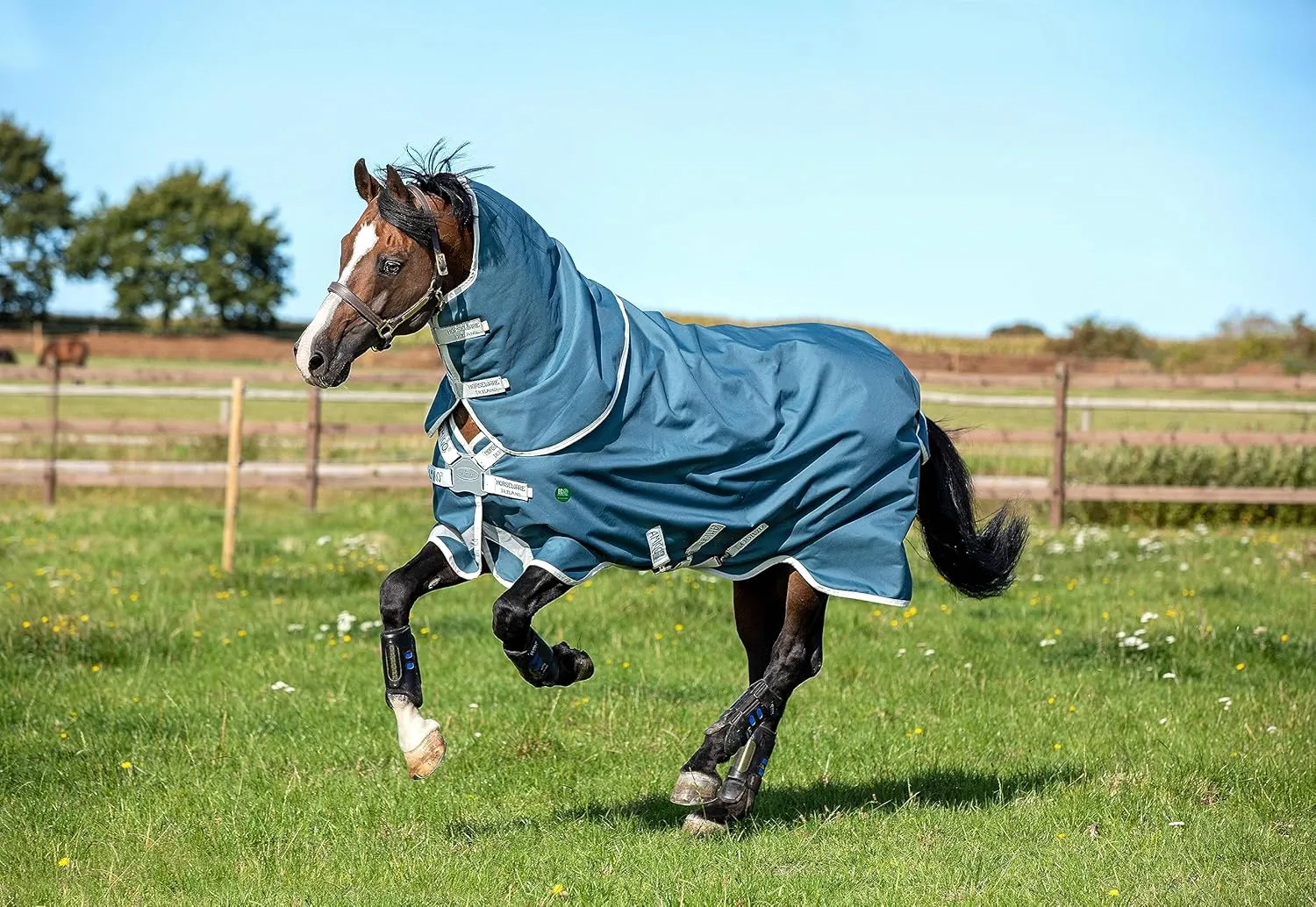 Horseware Amigo AmEco Bravo 12 Plus Turnout 0g 87 Teal
