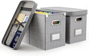 Oterri Hanging Filing File Box with Mesh Pocket, File Organizer Box with Lid, Collapsible Document Organizer Box for Letter Size, Easy Slide Durable Storage Box for Office/Decor/Home (2 PCS, Grey)