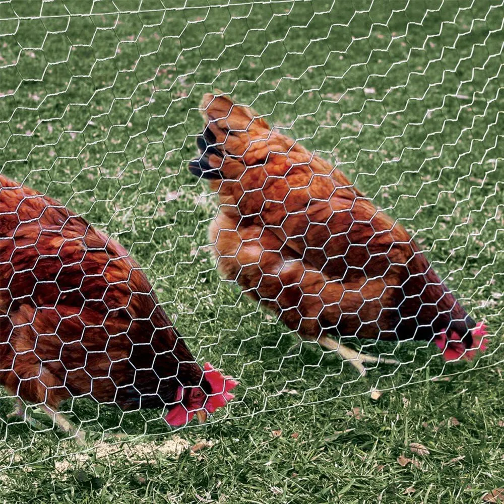 YardGard Chicken Wire 2 Inch Mesh 24 Inch X 150 Foot 20 Gauge Galvanized Steel Wire Fence Ideal for Crafting, Garden Protection, Bird Enclosures, Chicken Coops, Poultry Netting and Rabbit Fencing